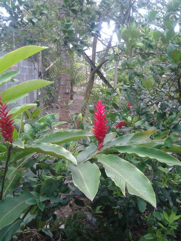 Fleurvilla Pereybere Beach Bilik gambar